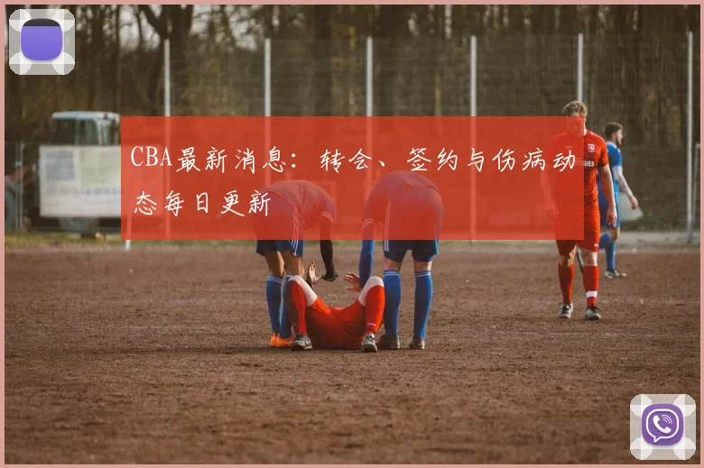 CBA最新消息:转会、签约与伤病动态每日更新